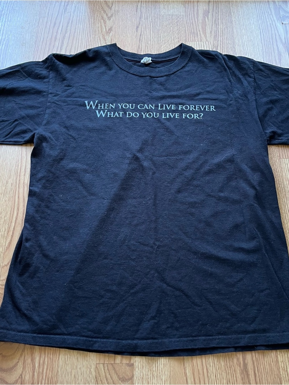 Anvil The Twilight Saga graphic tee